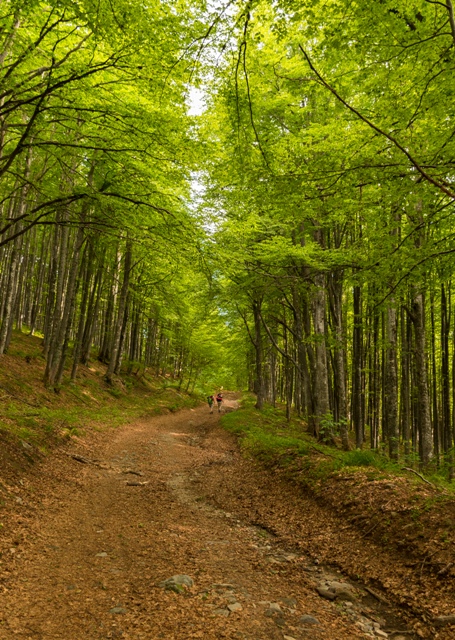 Somewhere in Stara Planina