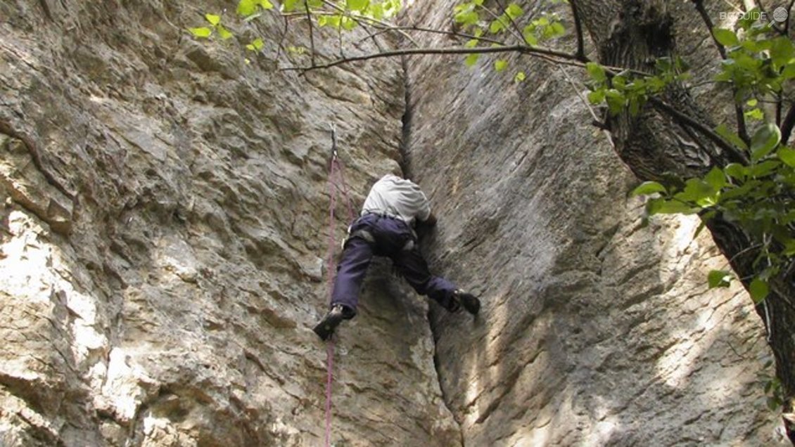 Атракционен въжен парк "КАТЕРИчка"