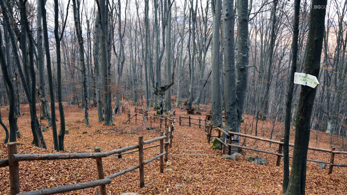Екопътека "Екот от камбанен звън"