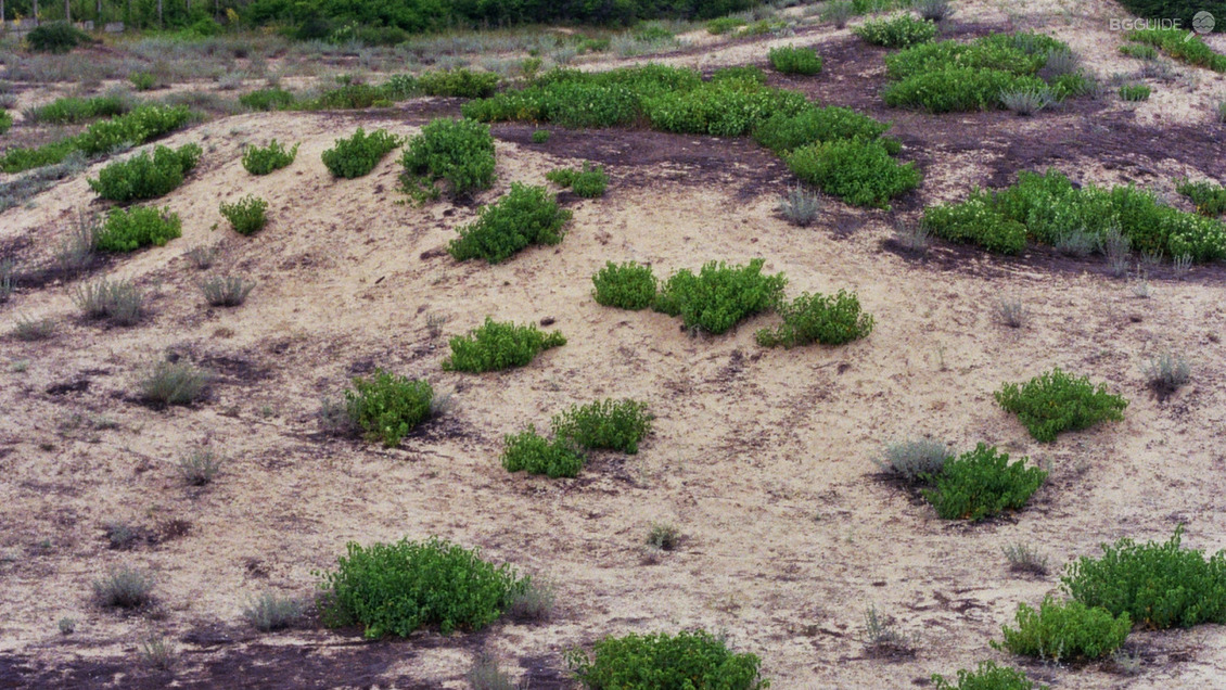 Sand Dunes in the locality of Perla