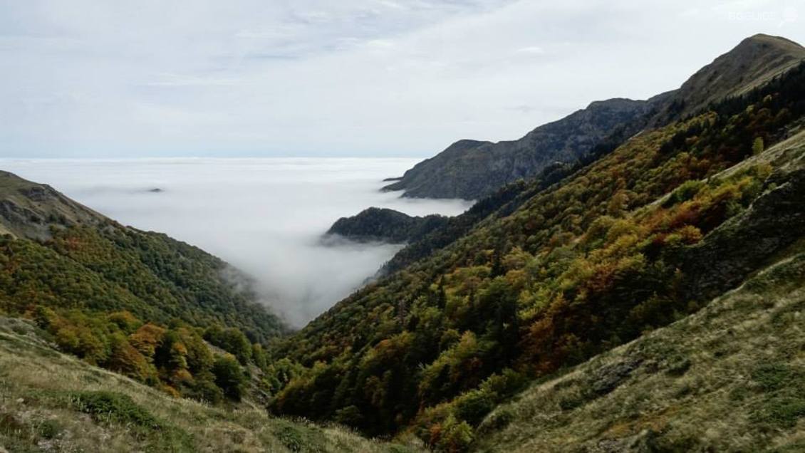 Резерват "Джендема"