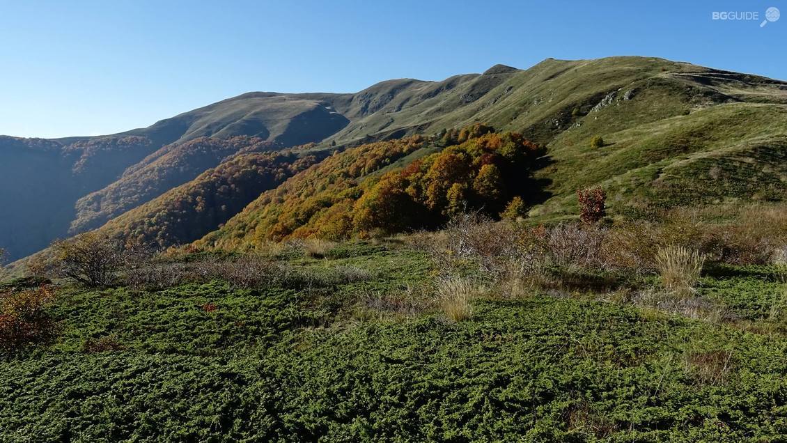 връх Конгур