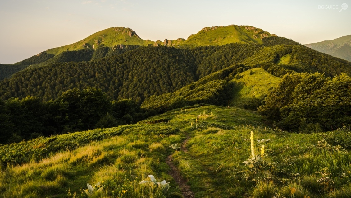 Връх Юмрука