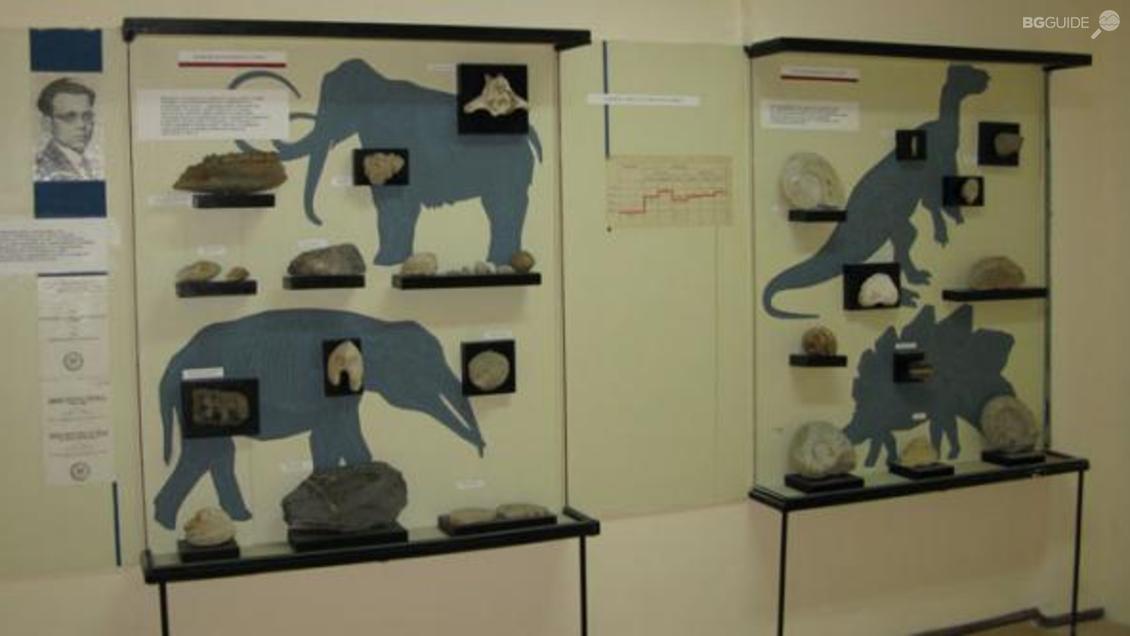 Natural History Museum – Varna