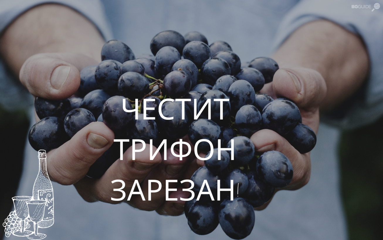 purple-grapes-facebook-cover-1_1306x818_crop_79d4048cf6