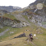 54bac2cda2ffe973226835_150x150_crop_040d2b4c17