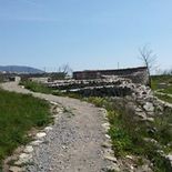 photo_155x155_crop_1ccd8c9a8c