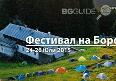 borovinki_230x161_crop_465f21009a