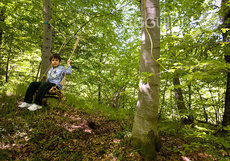 dendrarium_230x161_crop_ac56ce63be