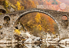 1_230x161_crop_7e3b968138