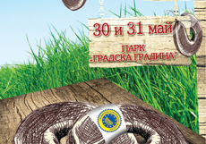 flaeri1_230x161_crop_5ff1e4883b