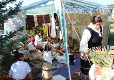 festival2_230x161_crop_4dfb762446