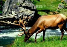 lov-i-ribolov_230x161_crop_8f46bb25eb