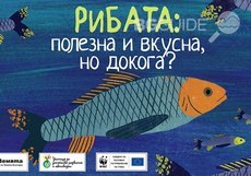 ribata_230x161_crop_015771fa0b