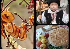 survachki_230x161_crop_d55d1b0e80