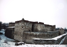 baba-vida_230x161_crop_2bfea471aa