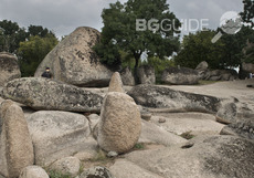 dsc-2917-2_230x161_crop_e0783a38fc