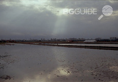 burgaski-solnitsi_230x161_crop_0f6d71a07f