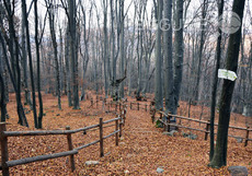 ekopateka_230x161_crop_e841826d0e