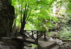 ekopateka-1_230x161_crop_9f3c1e89f2