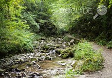 ekopateka_230x161_crop_89fce4fb9b