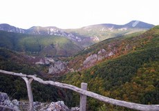 jdreloto-na-reka-erma_230x161_crop_04a9aab2da