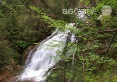 p6082934-re_230x161_crop_533a60624a