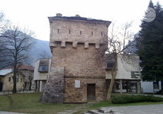 kurtpashova_230x161_crop_e18587aed3