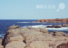 nos-arapia_230x161_crop_479e009173