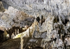 snezhanka-m-yanakiev2_230x161_crop_02c7ad7b80