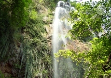 polska-skakavitsa-2_230x161_crop_e245ae07b3