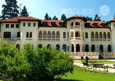 p8100449-vrana_230x161_crop_db30048835