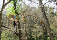 baba-yaga_230x161_crop_bae42a4754