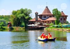 melnicite_230x161_crop_592ba2dd55