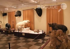 nac-pripodonauch-muzei_230x161_crop_55b28a5b2f