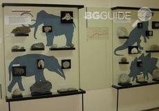 prirodonauchen-muzei-varna_230x161_crop_54de7beb92