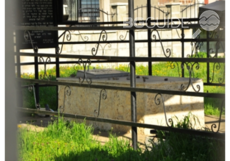 grob-ravin2-jpg_230x161_crop_3532e9d73f