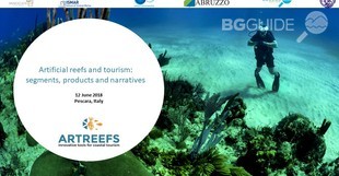 art-reefs_310x161_crop_767df21aa1