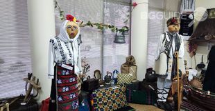 8_310x161_crop_3e03ed8a1a