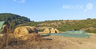 1696506626582-scaled_310x161_crop_fd08fa3edf