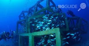 slide1_310x161_crop_8b7ba17dc6