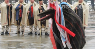 thumb-460x344-brazia_310x161_crop_036d5ec043