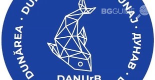 2_310x161_crop_9869705aca