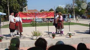 13686790-1126569540739928-4276657500684381584-n_310x174_crop_e643d909ec