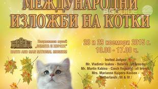 45i46-international-fi-fe-cat-shows_310x174_crop_8433725cbe