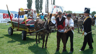 biorali_310x174_crop_0be66e5d75