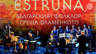 estruna_310x174_crop_ada751febc