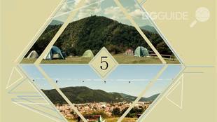 moga-fest_310x174_crop_3c6d024e3a