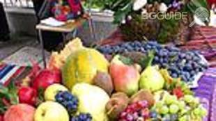 festival-na-kestena_310x174_crop_fb2a741ecf