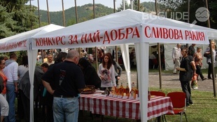 banner-sliva003_310x174_crop_373687ae95